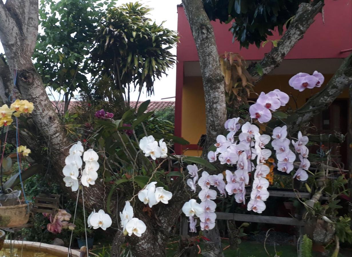 Pousada Bromelias - Suites E Aptos Nova Vicosa Exterior photo